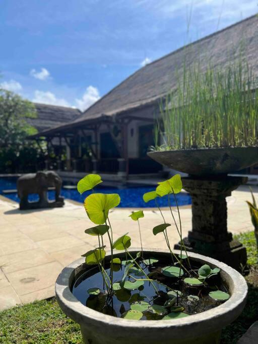 Bali Berg Villa, Sanur Екстер'єр фото